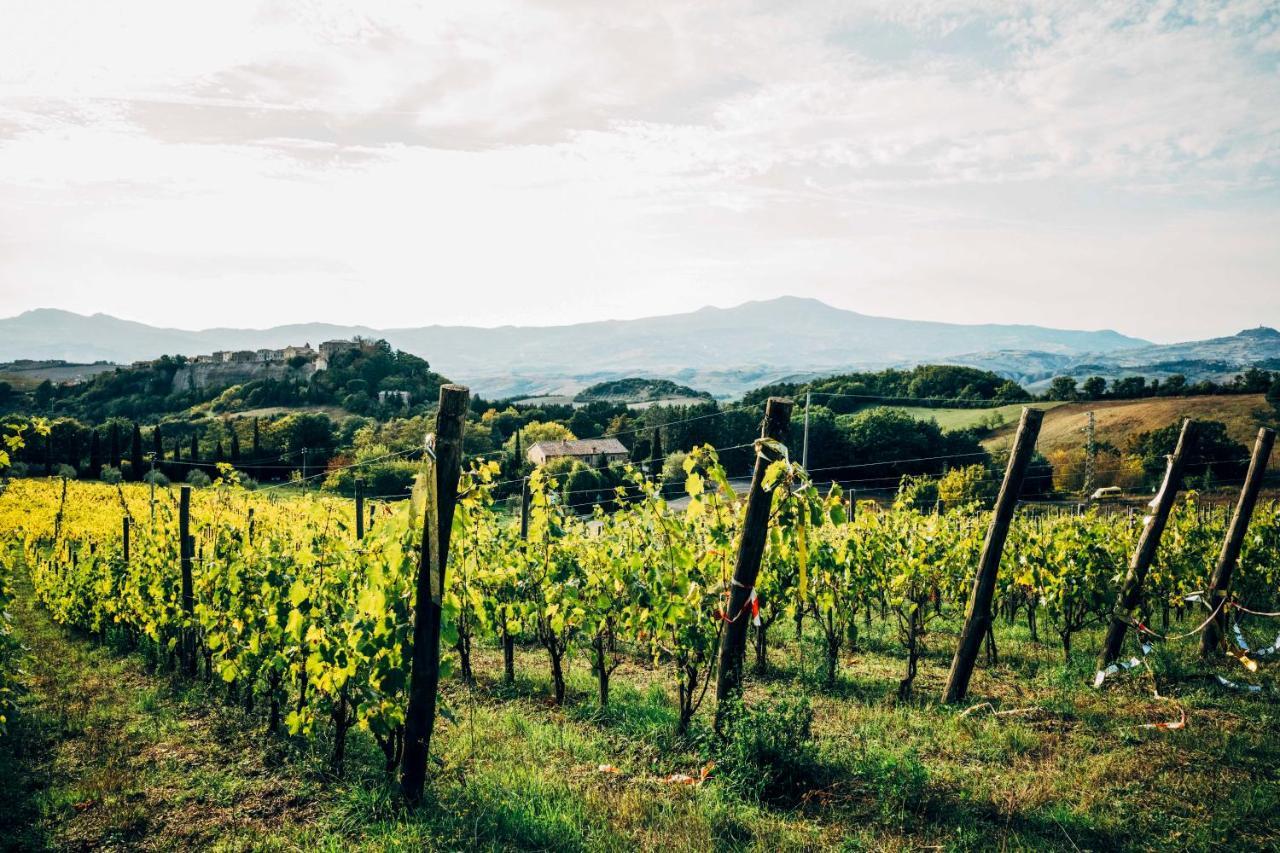 Podere Orto Wine Country House Trevinano Extérieur photo