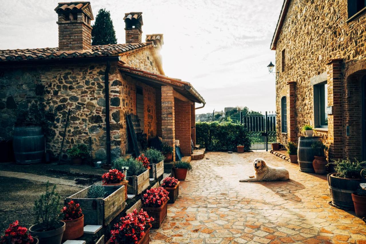 Podere Orto Wine Country House Trevinano Extérieur photo