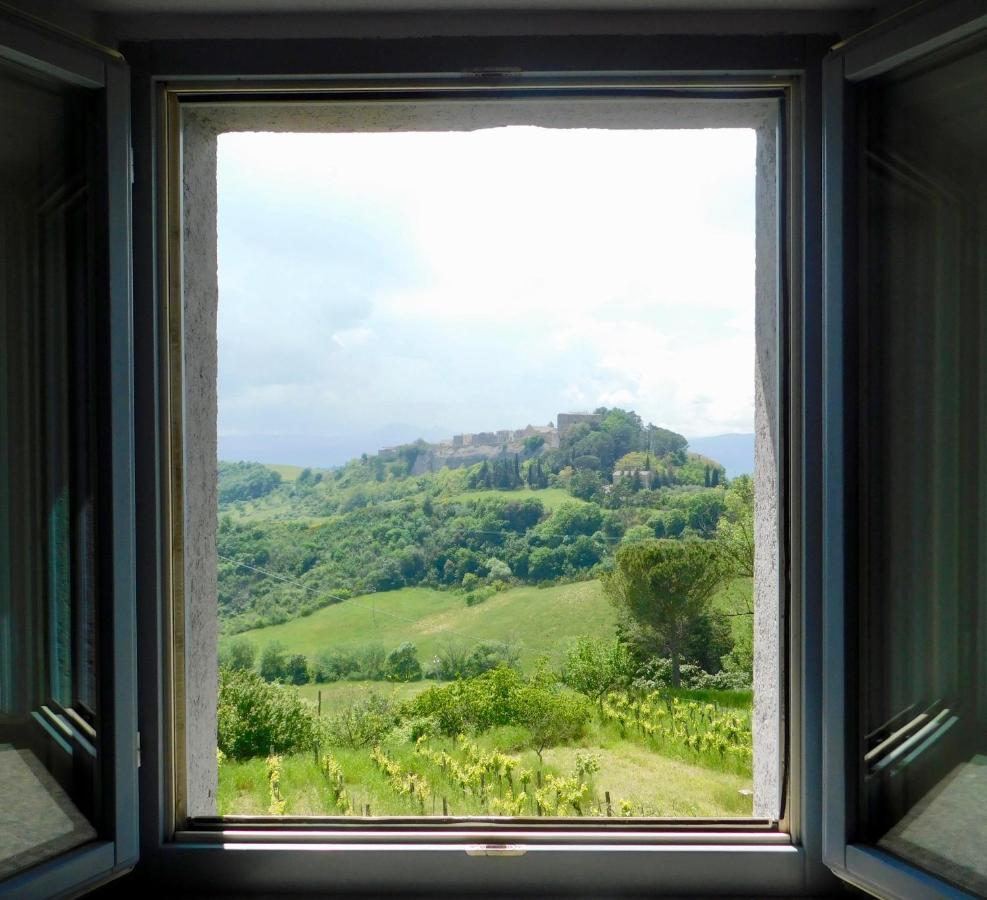 Podere Orto Wine Country House Trevinano Extérieur photo
