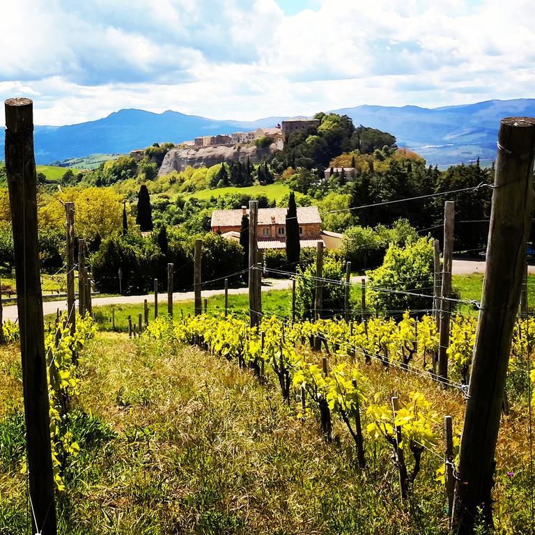 Podere Orto Wine Country House Trevinano Extérieur photo